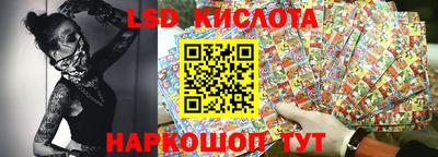 стаф Будённовск