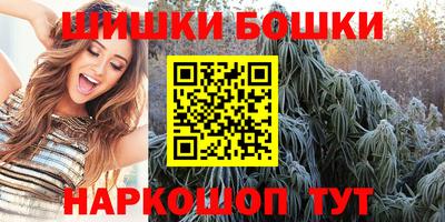 стаф Будённовск