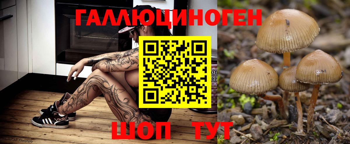 Кулебаки  Галлюциногенные грибы мицелий  Вход с VPN  Галлюциногенные грибы ЛСД 